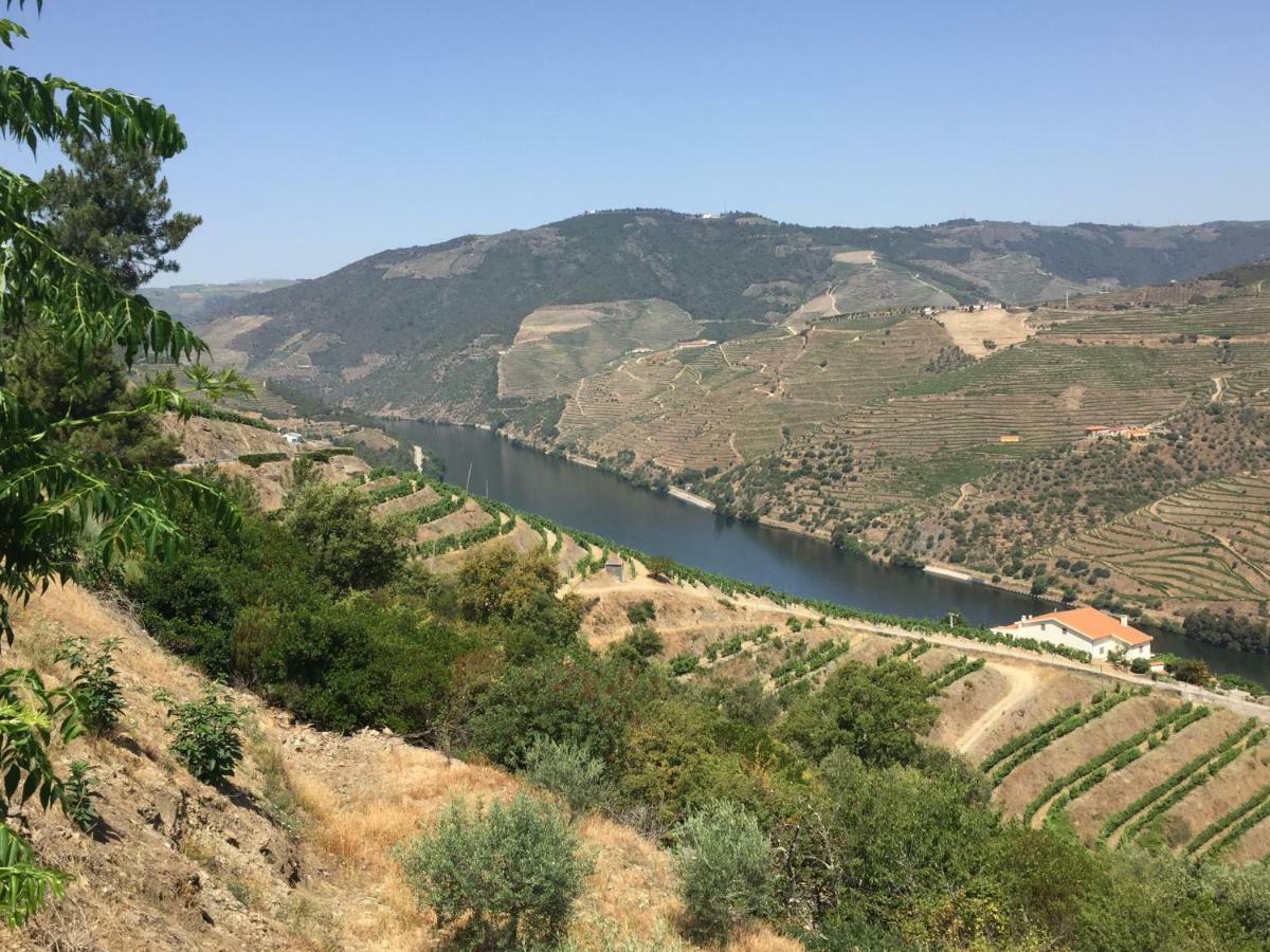 Refugio D'Anita Douro Valley House Barcos ภายนอก รูปภาพ